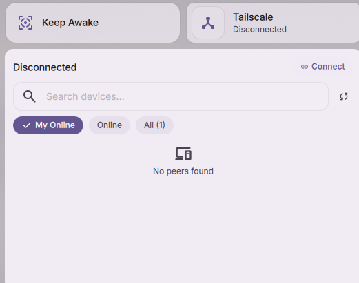Tailscale status and device controls in the Control Center
